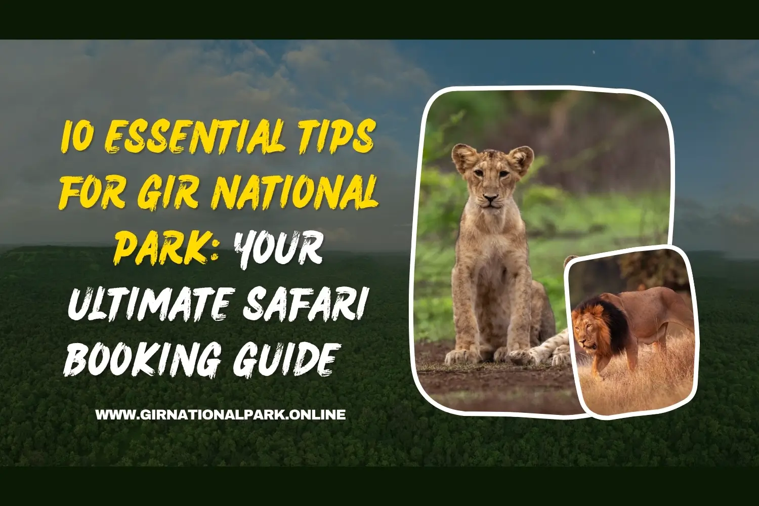 10 Essential Tips for Gir National Park 