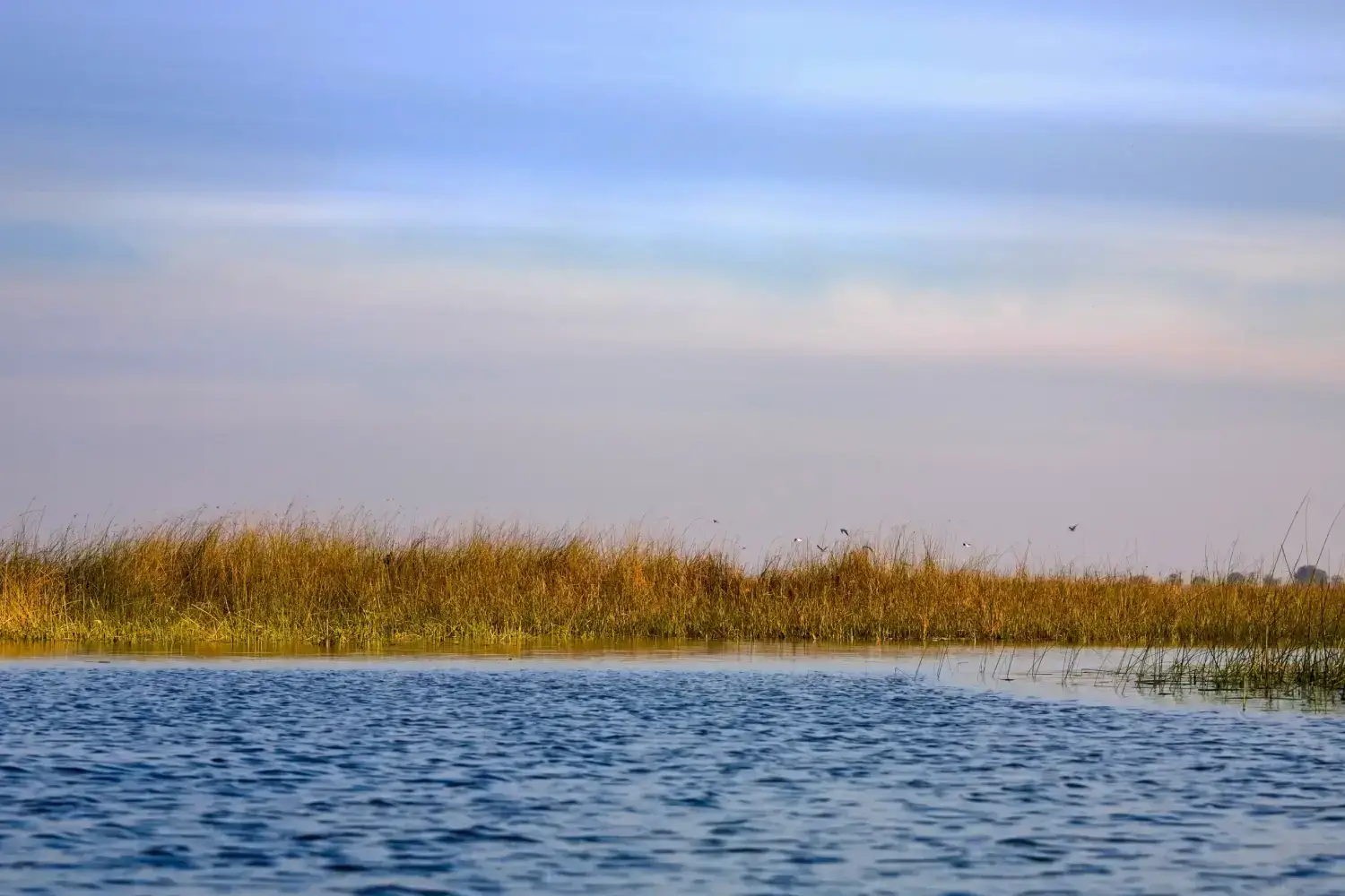 The Nalsarovar Lake Gujarat