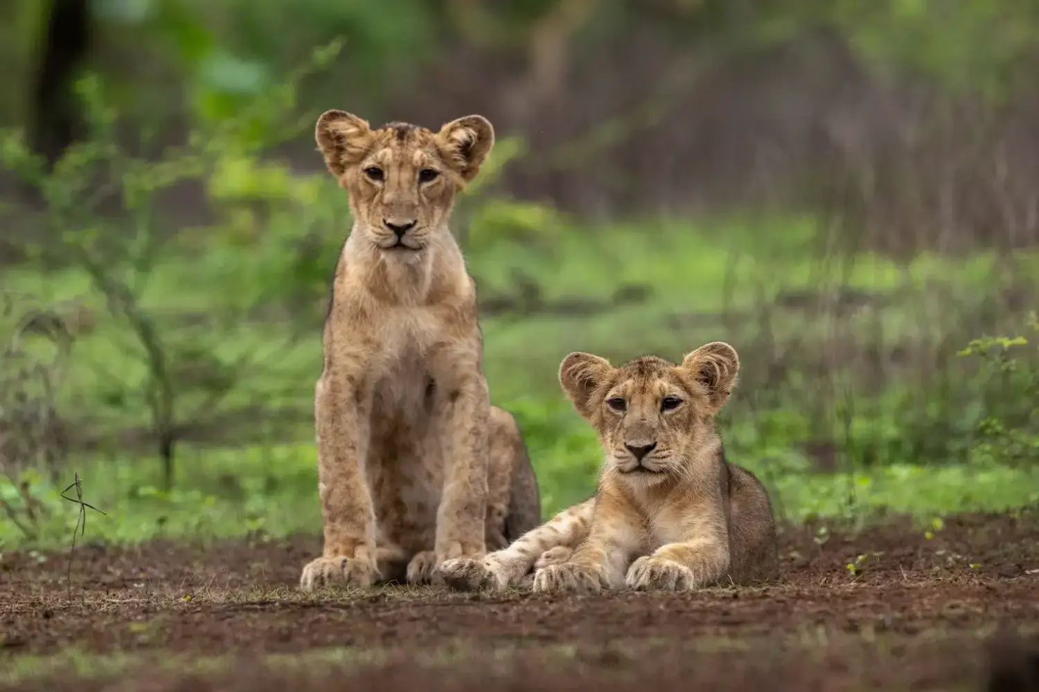 Best Weekend Getaways in Gujarat