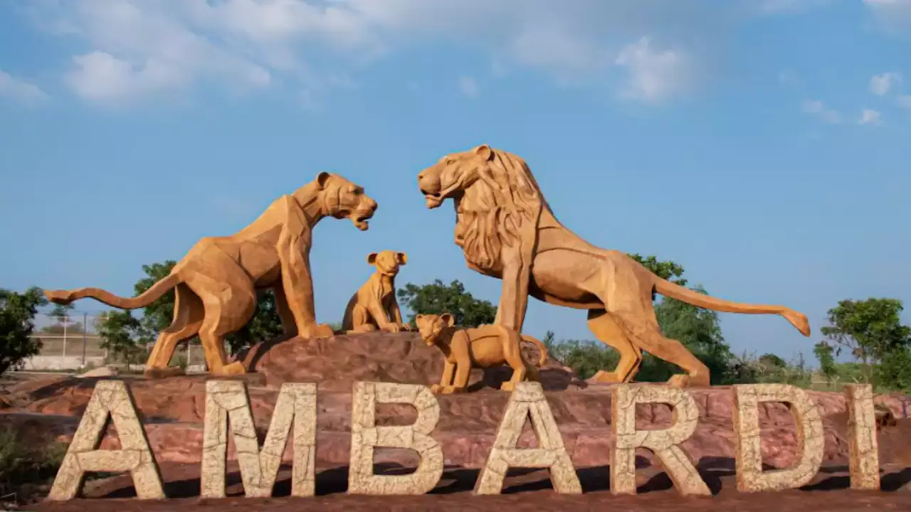 ambardi-safari image