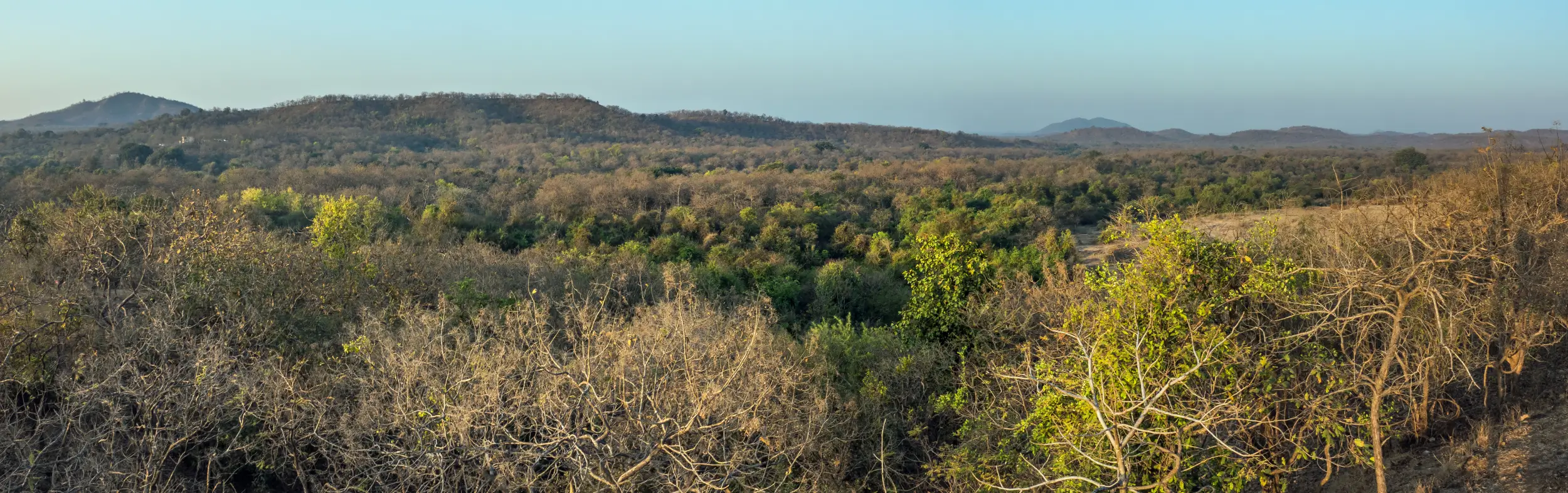 Sasan Gir National Park