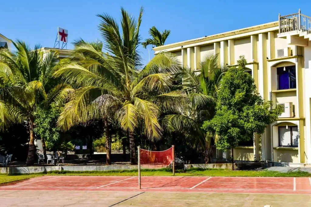 Play Badminton Court