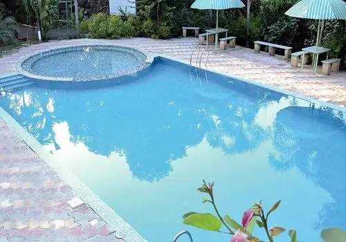 Anil Farm House Swimming Pool