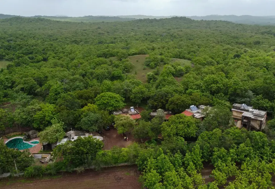 Maneland Top View