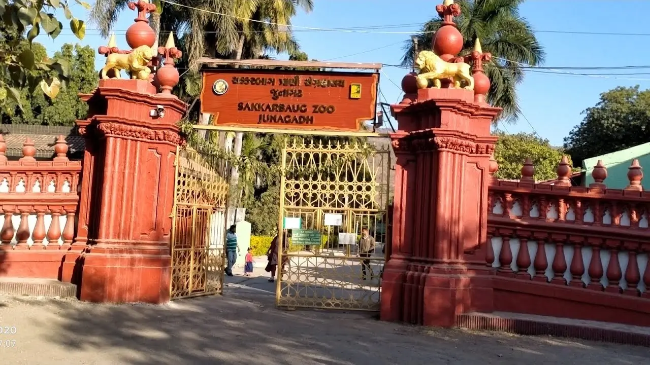 junagarh-zoo image