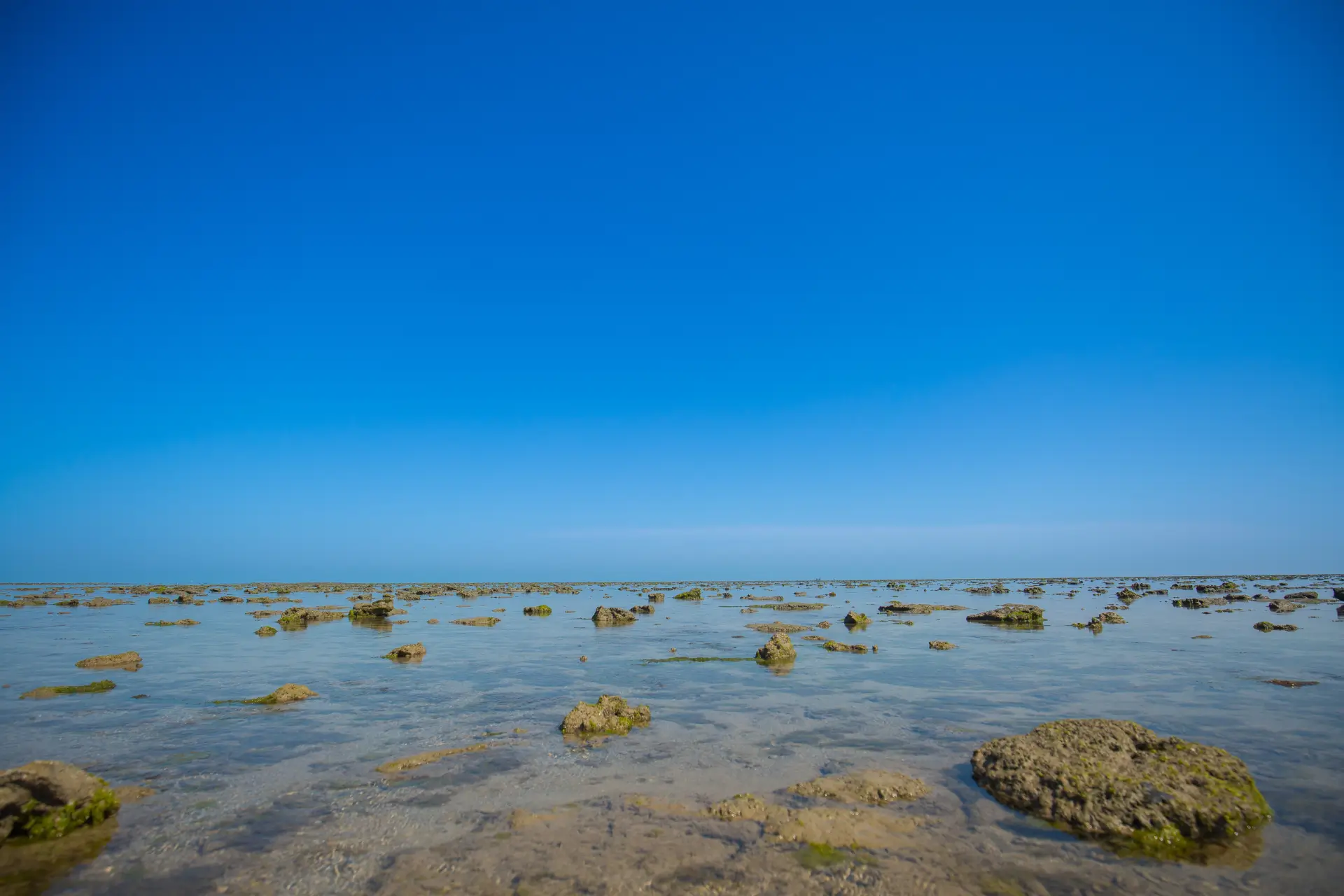 marine-natinal-park image