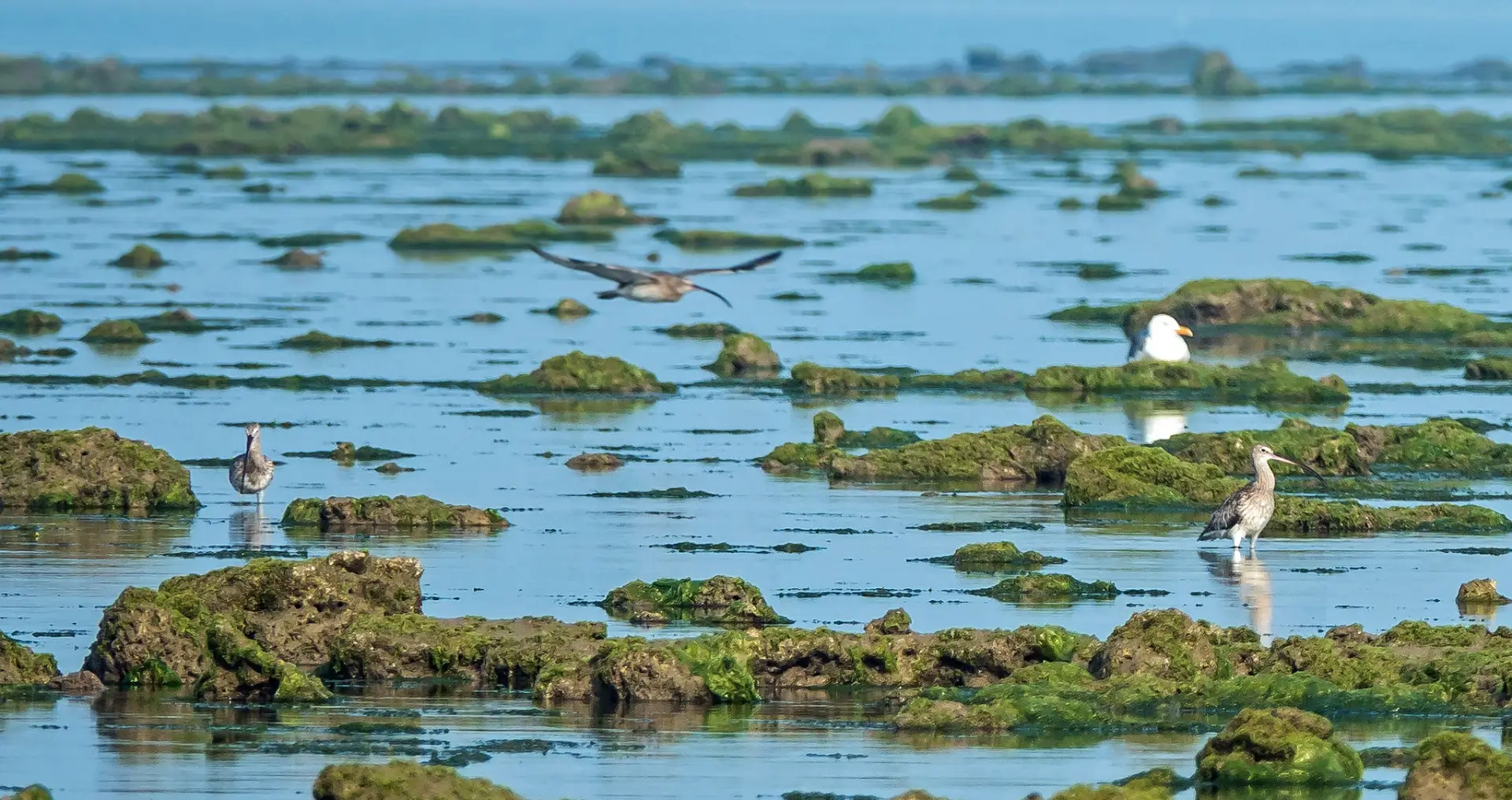 marine-natinal-park image