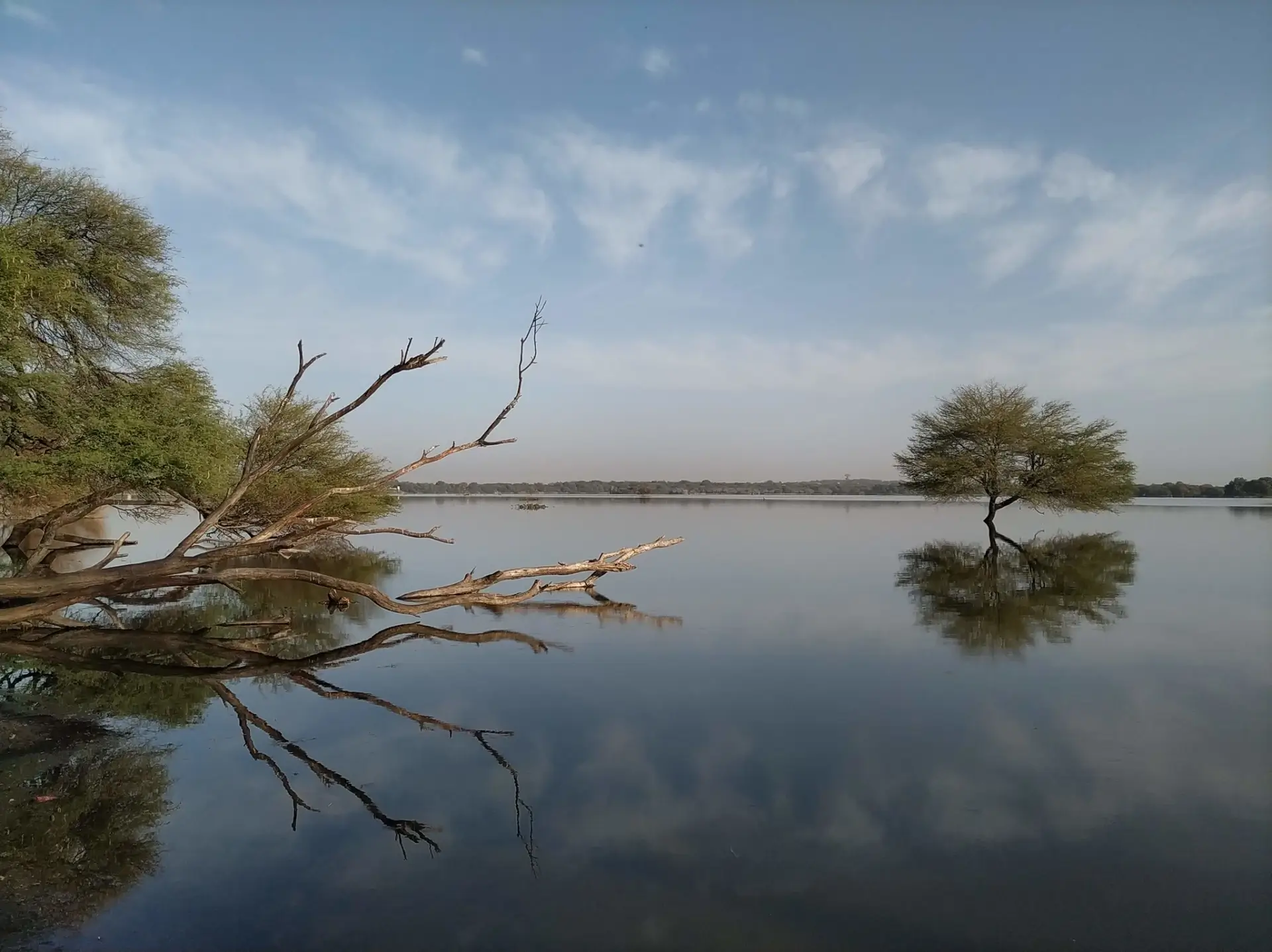 Thol Lake Bird Sanctuary image