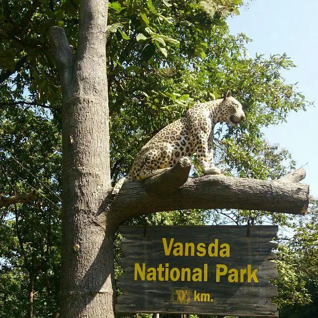 vansda image